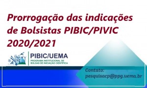 prorrogação pibic