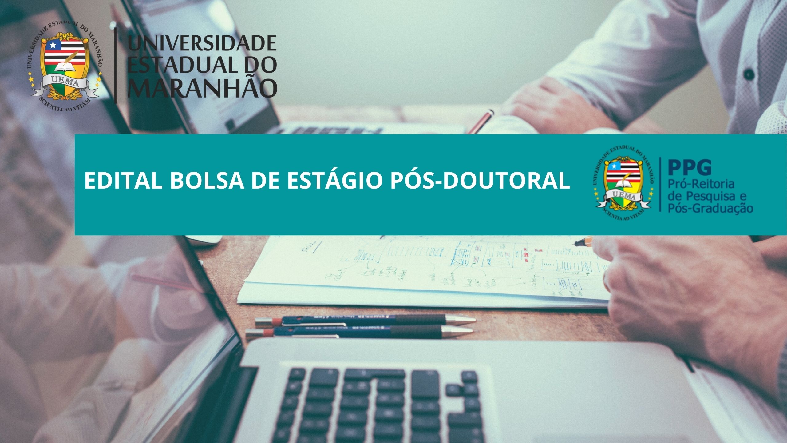 EDITAL N.º 28/2022-PPG/CPG/UEMA – BOLSA DE ESTÁGIO PÓS-DOUTORAL MODALIDADE PESQUISADOR BRASILEIRO Programa de Pós-graduação Profissional em Defesa Sanitária Animal (PPGPDSA)