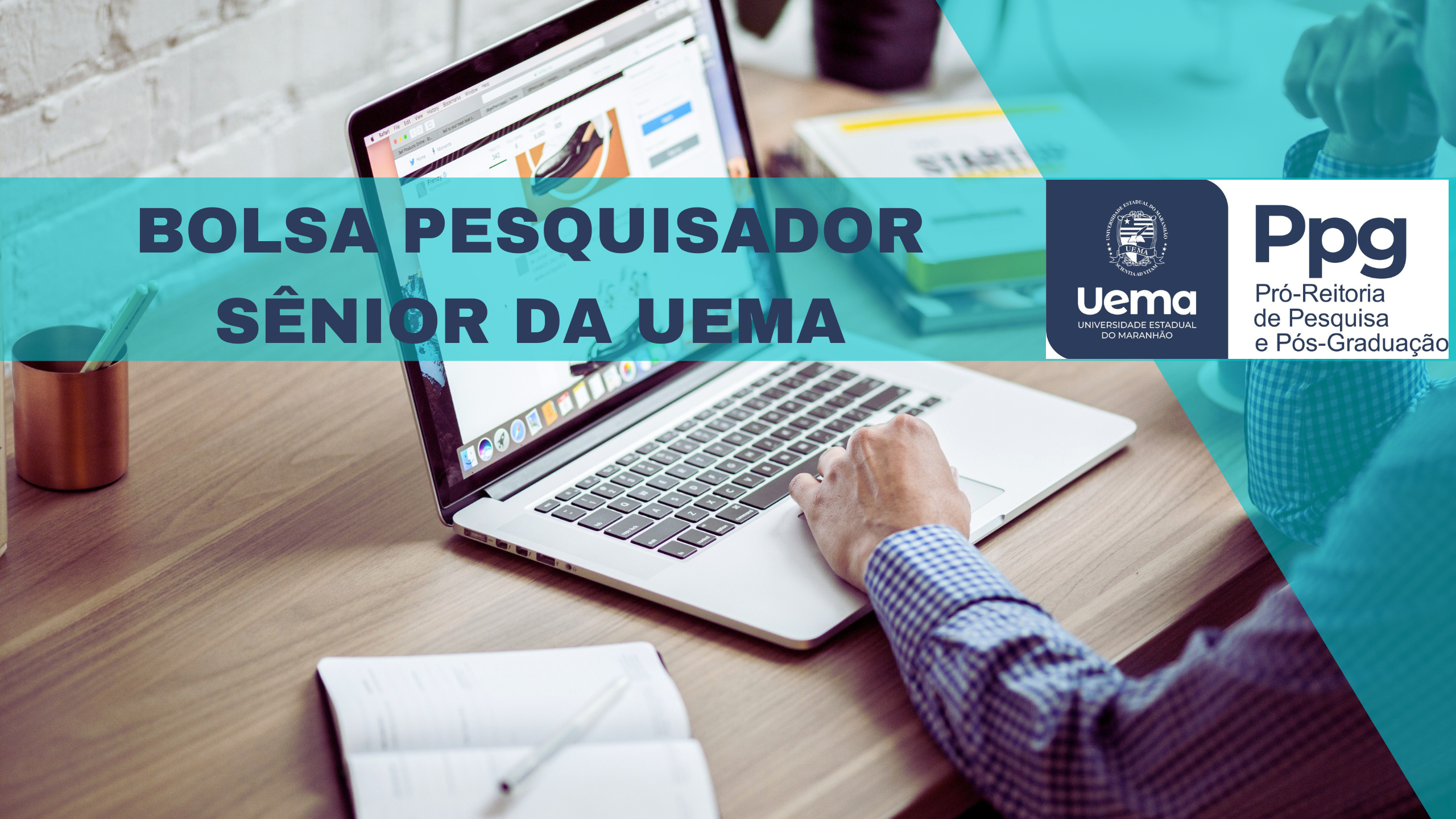 Edital Nº 150/2024-PPG/UEMA – BOLSA PESQUISADOR SÊNIOR DA UNIVERSIDADE ESTADUAL DO MARANHÃO – Programa de Pós- graduação Profissional em Defesa Sanitária Animal – PPGPDSA