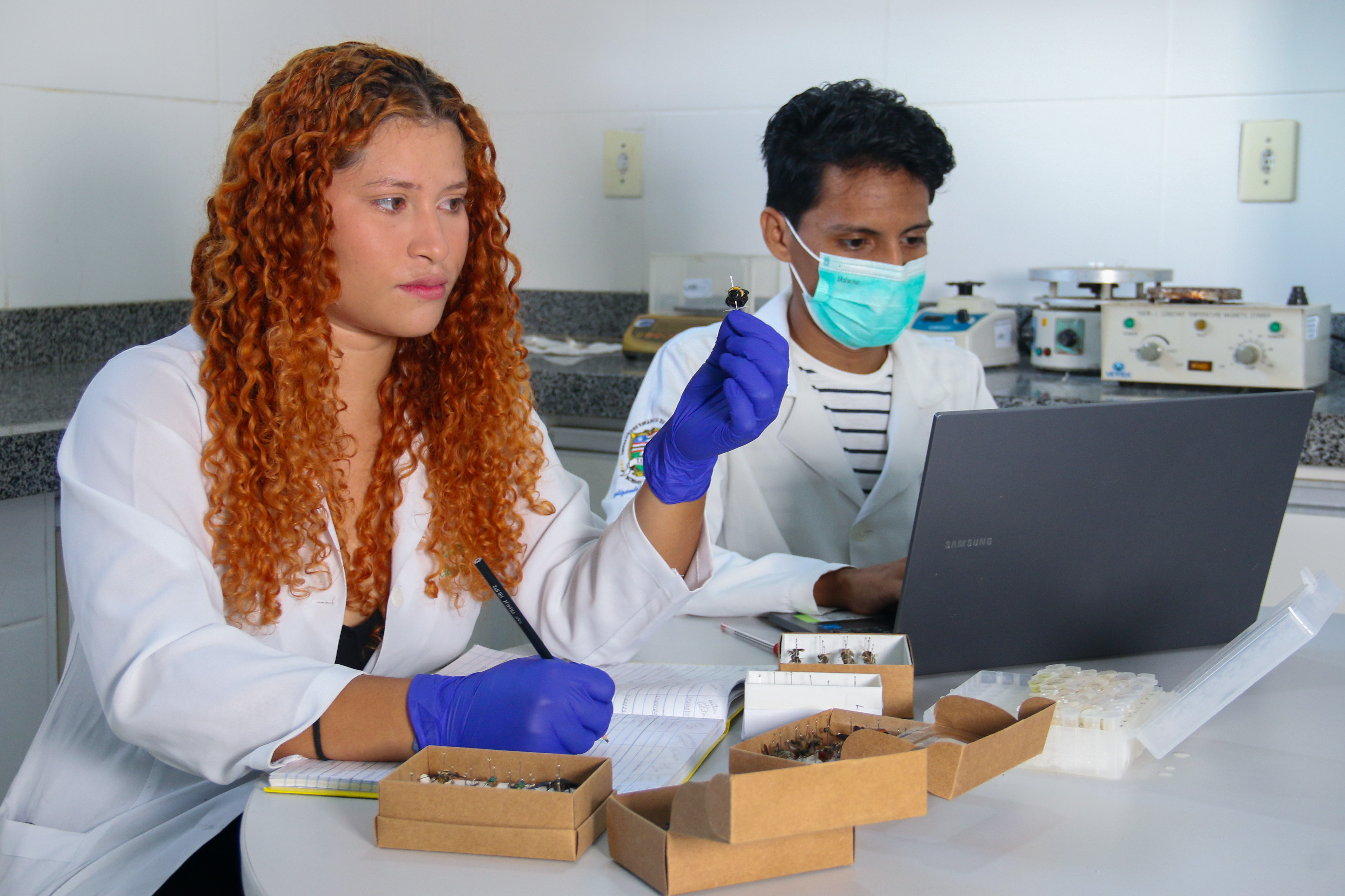 UEMA reúne um rico acervo de Tecidos Biológicos e DNA da Fauna Maranhense