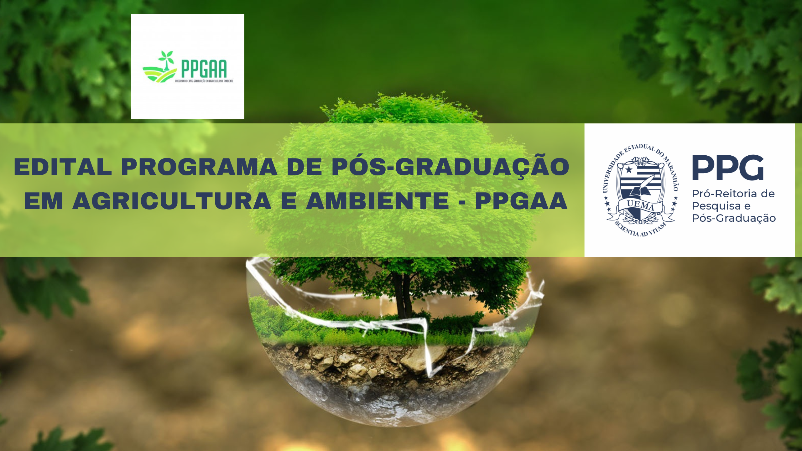 EDITAL N.º 03/2024-PPG/CPG/UEMA – PROGRAMA DE PÓS-GRADUAÇÃO EM AGRICULTURA E AMBIENTE – PPGAA