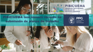 PPGPIBIC