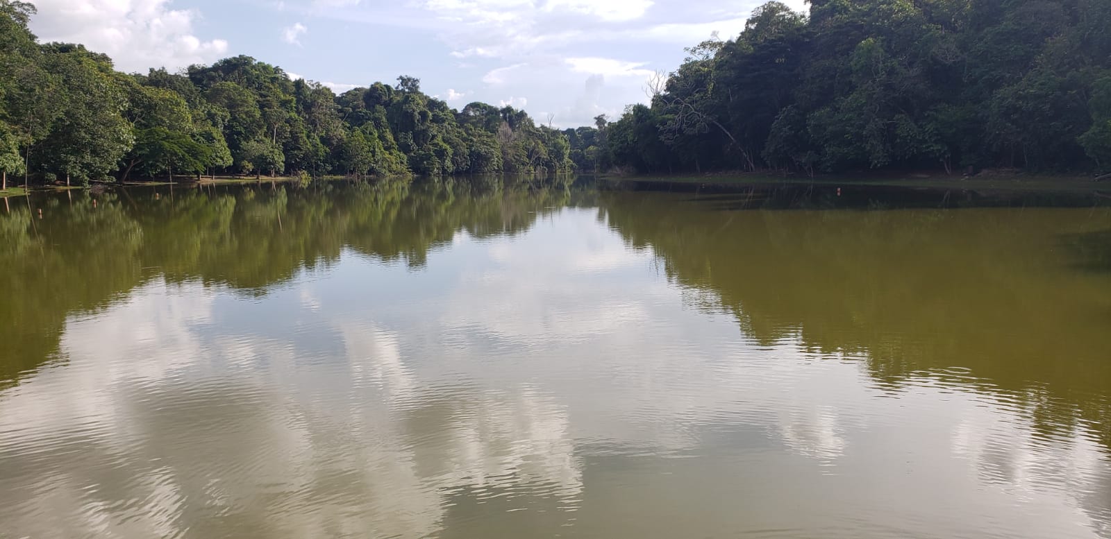 Professora da UEMA participa de pesquisa sobre solo Amazônico