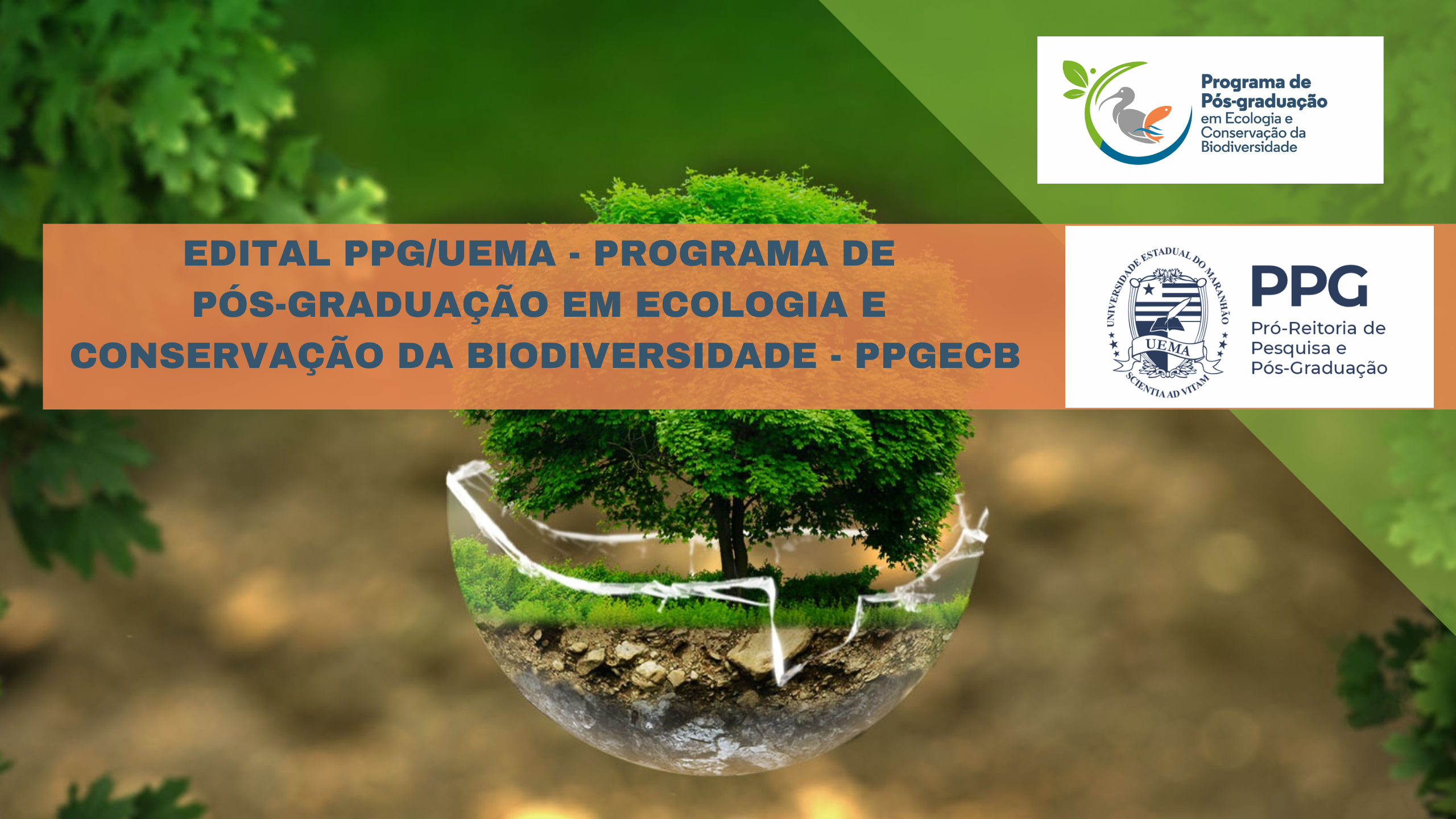 EDITAL N.º 54/2023-PPG/CPG/UEMA – PROGRAMA DE PÓS-GRADUAÇÃO EM ECOLOGIA E CONSERVAÇÃO DA BIODIVERSIDADE – PPGECB