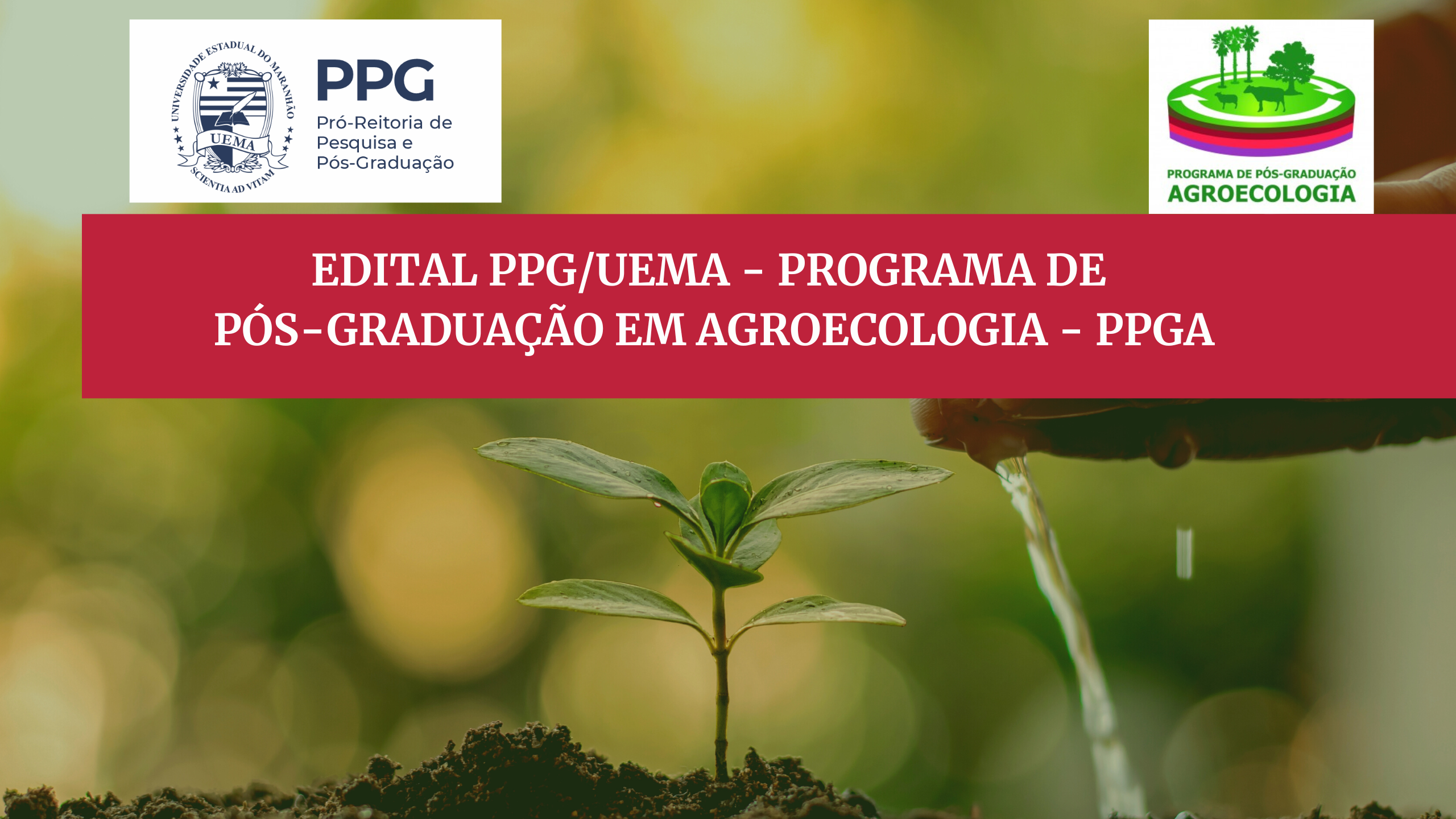 EDITAL Nº 28/2024 PPG/UEMA – PROGRAMA DE PÓSGRADUAÇÃO EM AGROECOLOGIA (PPGA) MESTRADO e DOUTORADO