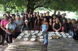 Pesquisa da Uema transforma embuás em aliados da agricultura sustentável e do reaproveitamento de resíduos orgânicos